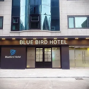 Bluebird *** Incheon